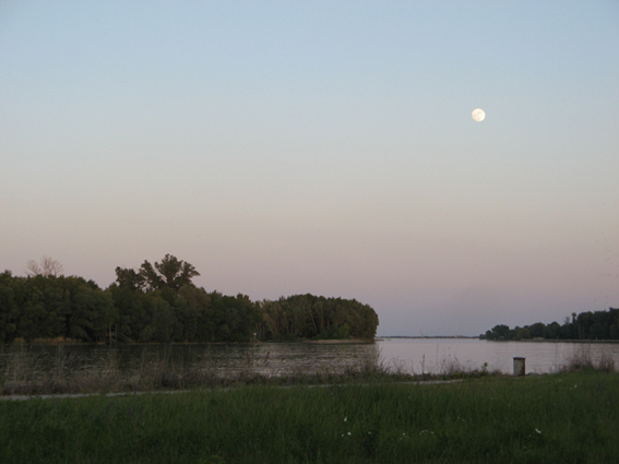 dunaj pri Rusovskom ramene Natura