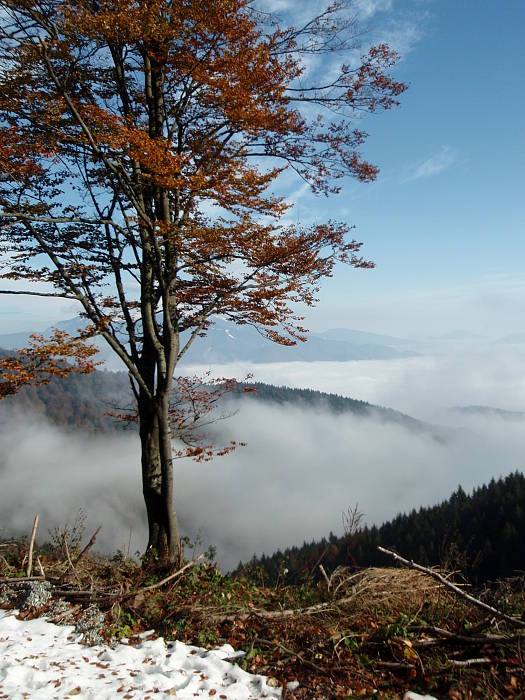 jesenné ráno nad Martinom