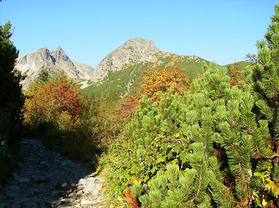 v doline Zeleného Plesa