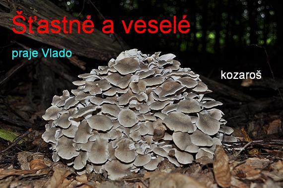 šťastné a veselé