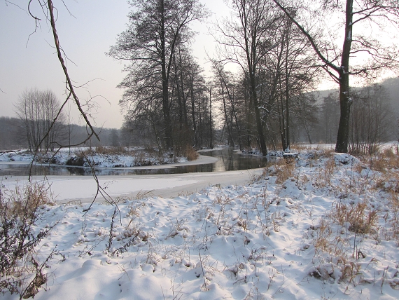 zima kolem řeky