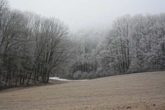 dobrá Voda-lúky