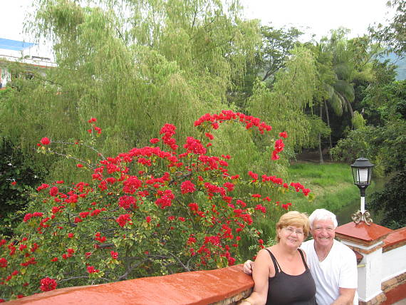 bugénvilea holá  Bougainvillea glabra