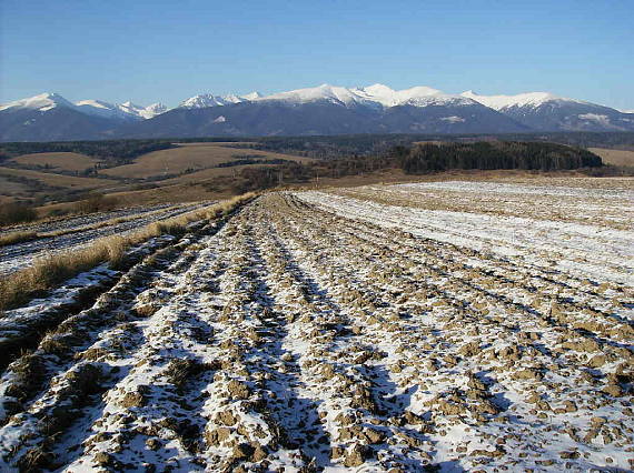 pohľad od Važca na Západné Tatry(od Baranca až po Kamenistú)