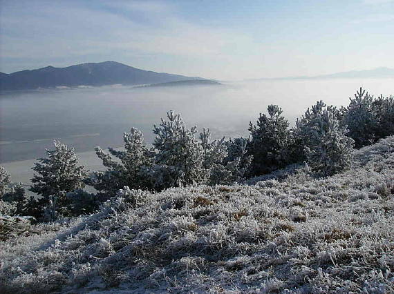 pohľad na Sľubicu (Branisko) z Dreveníka