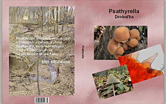 psathyrella