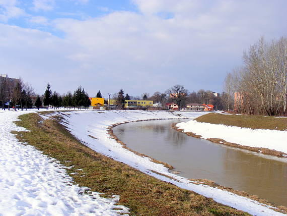 laborec v Michalovciach