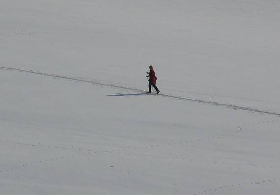 čekání na jaro