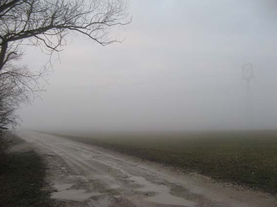 mošovská prostrednica Natura