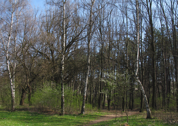 severný park, Sofia,BG