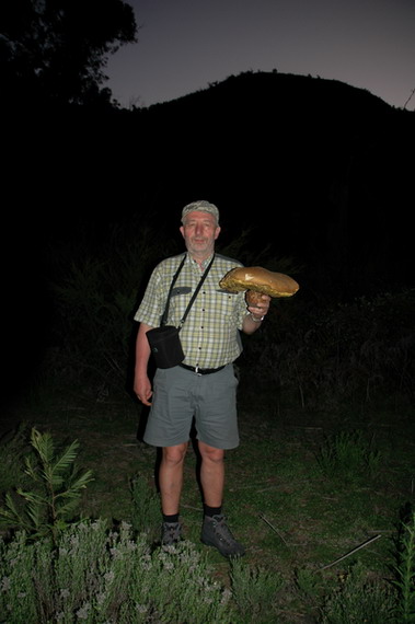 hríb modrejúci Cyanoboletus pulverulentus (Opat.) Gelardi, Vizzini & Simonini