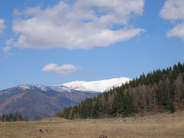 z dnešnej prechádzky