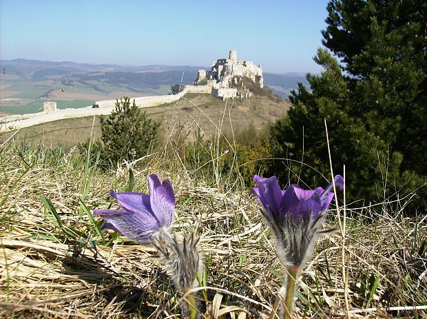 spišský hrad