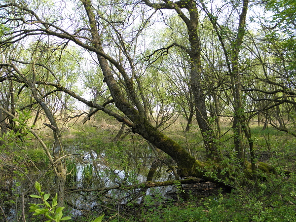 rastislavice-Jágerňa