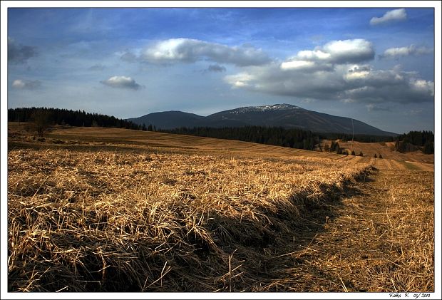 jarné prebúdzanie