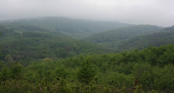 malé Karpaty po daždi.