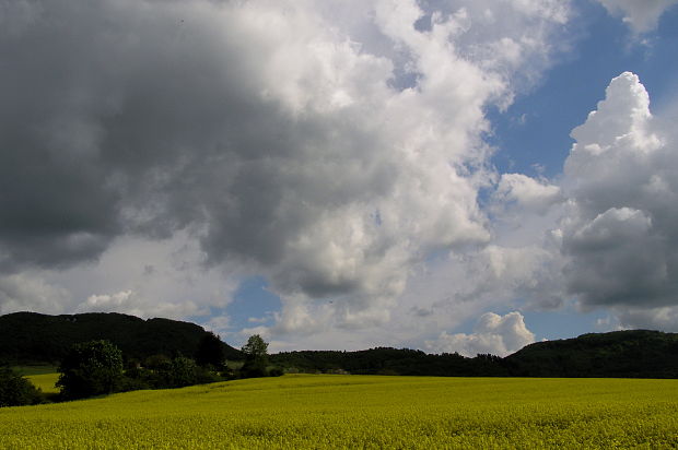 dubnica-cestou na Medzihorie