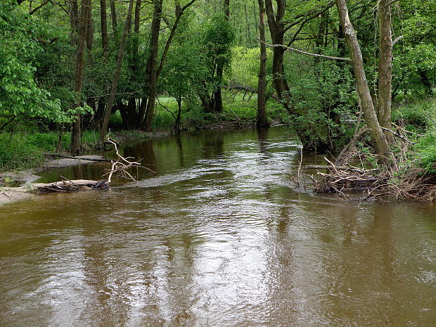 riečka Rudava