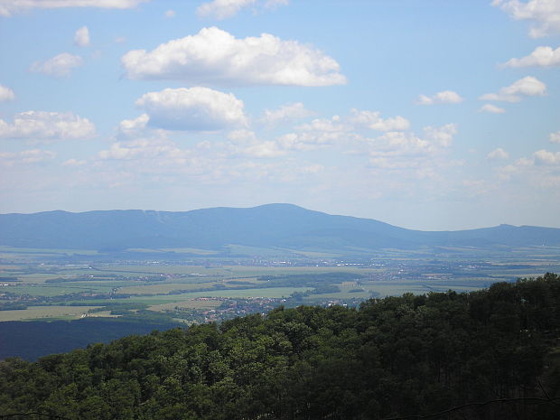 bIELA BUKOVINA