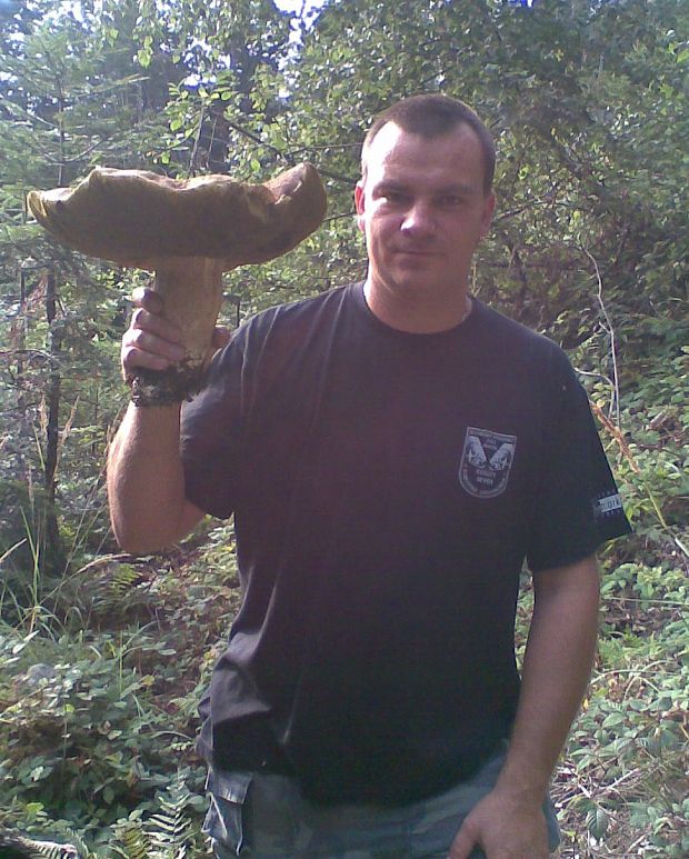 hríb Boletus sp.