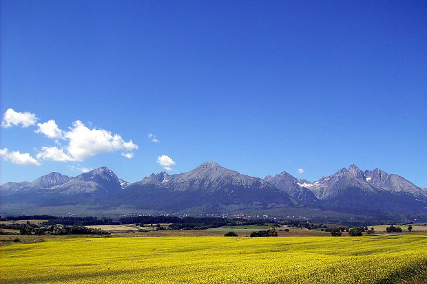 letná krajinka