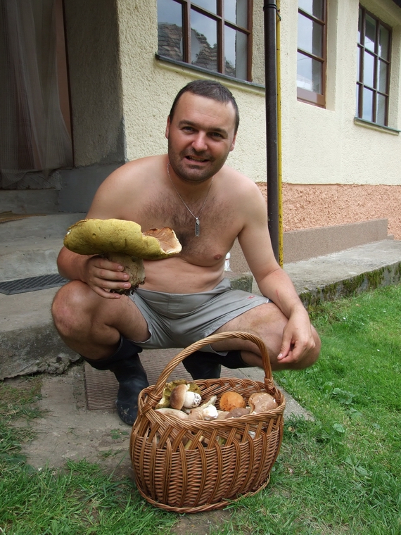 hríb dubový Boletus reticulatus Schaeff.