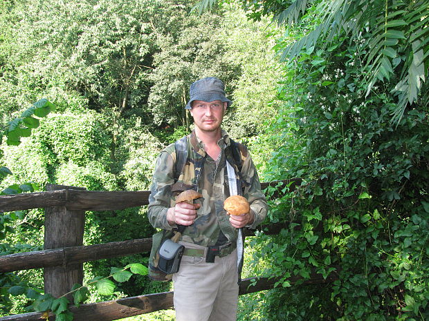 hríb smrekový Boletus edulis Bull.