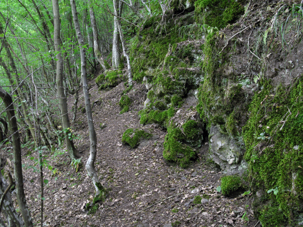 obec Kostinbrod, BG - hrabový les