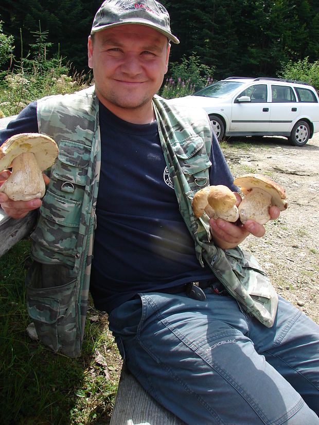 hríb smrekový Boletus edulis Bull.