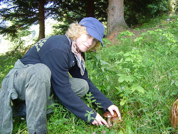 hríb smrekový Boletus edulis Bull.