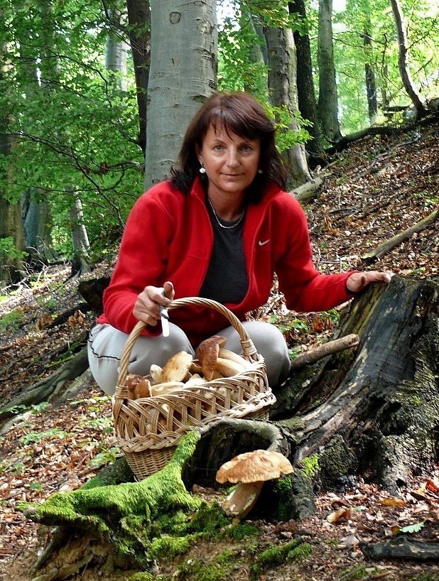 ... na hubách Boletus reticulatus Schaeff.