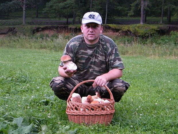 hríb smrekový Boletus edulis Bull.