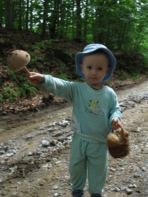 malý hubár