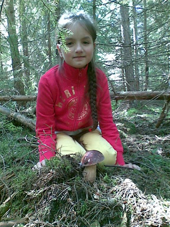 hríb sosnový Boletus pinophilus Pil. et Dermek in Pil.