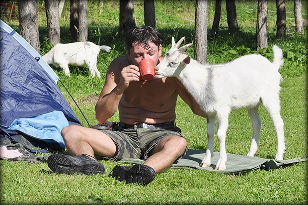 kopytovská dolina 2010