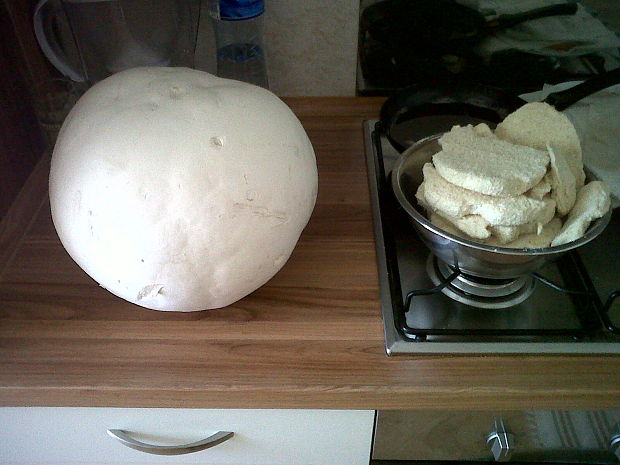 vatovec obrovský Calvatia gigantea (Batsch) Lloyd