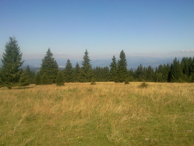 bukovina - Strelníky