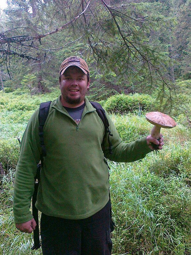 hríb smrekový Boletus edulis Bull.