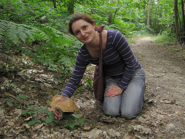 kozák brezový Leccinum scabrum (Bull. ex Fr.) S. F. Gray