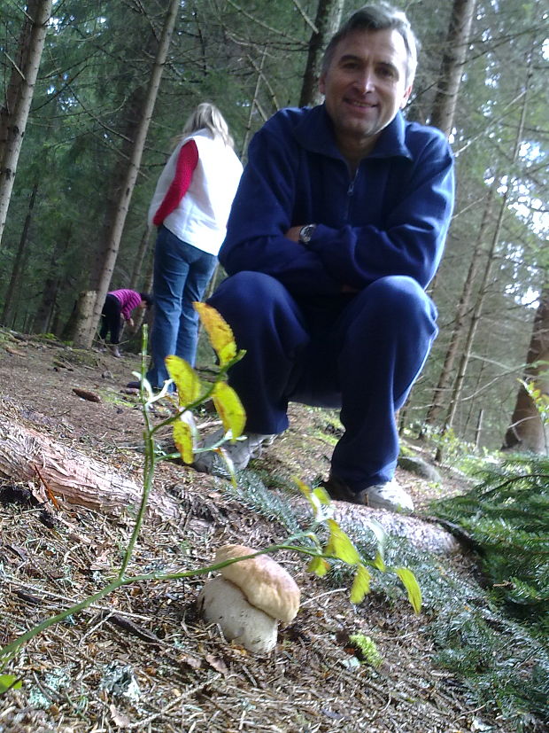 hríb sosnový Boletus pinophilus Pil. et Dermek in Pil.