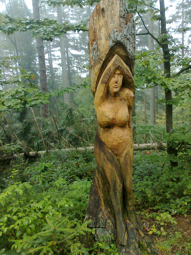 taketo sochy sa daju najst v lesoch pri Prakovciach