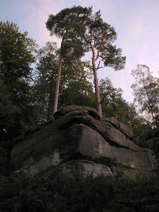 večer v High Rocks (East Sussex)