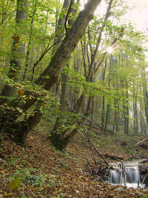 prejtská dolina