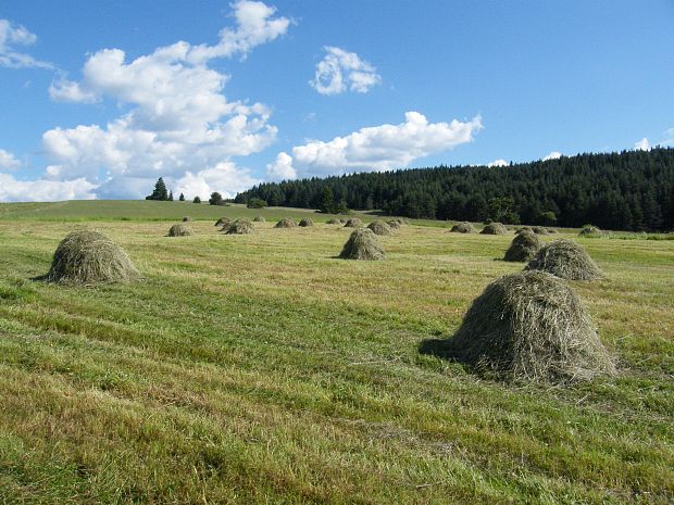 krajinka pod Tatrami