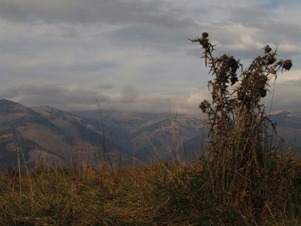 nízke Tatry- Ďumbier