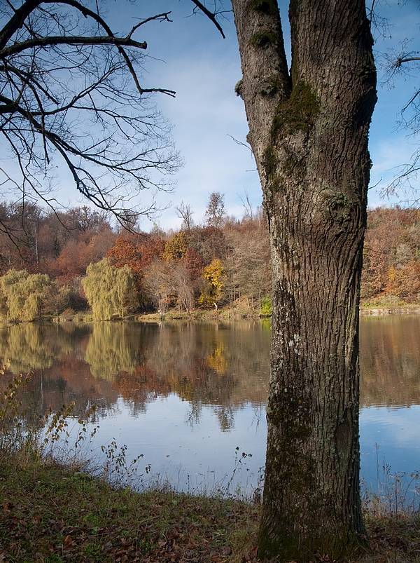 jasovský rybník