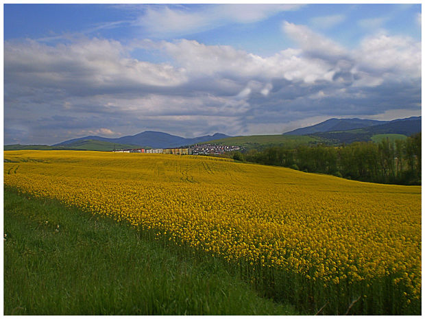 nad Starou Ľubovňou - jarná