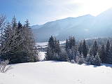 zimná príroda pod Tatrami - Ždiar