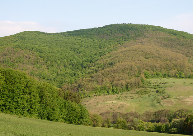 duby rašia posledné