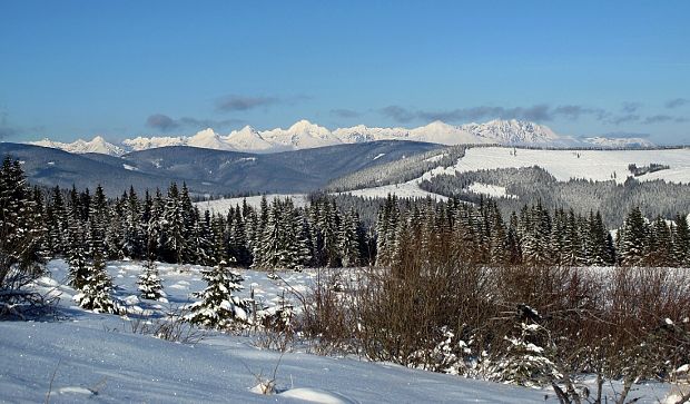 pohľad zo Stolice na Vysoké Tatry